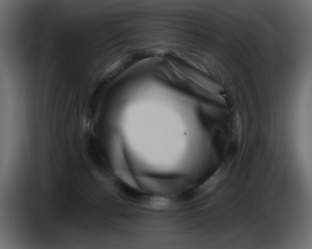 X0000083570176200703021757