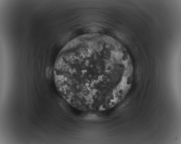 X0000083570177200703021757