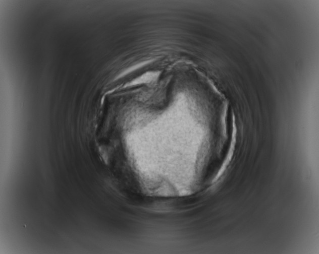 X0000083570178200703021757