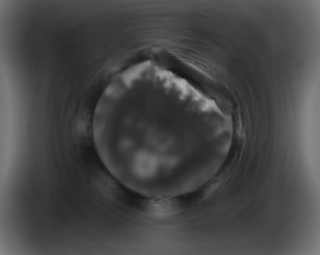 X0000083570181200703021757