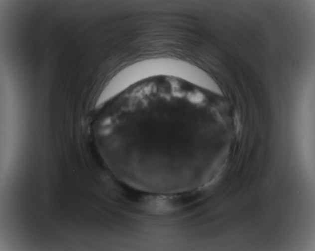 X0000083570182200703021757