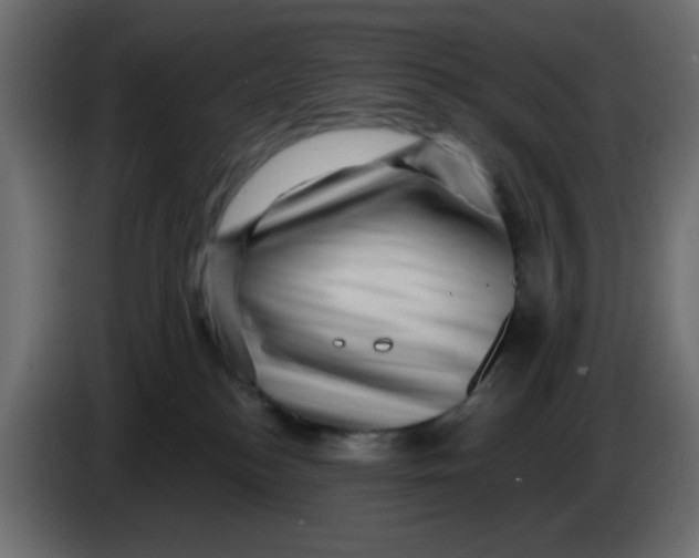 X0000083570184200703021757