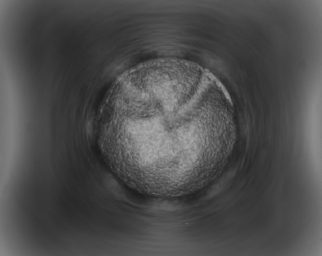 X0000083570185200703021757
