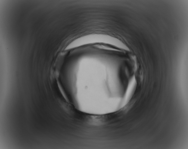 X0000083570188200703021757