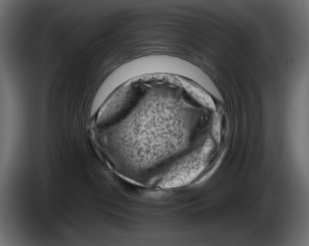 X0000083570190200703021757