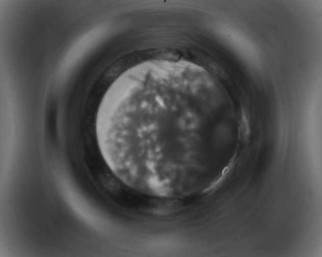 X0000083570191200703021757