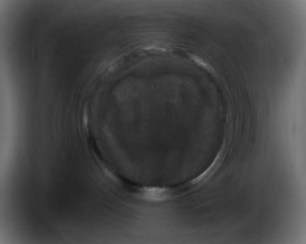 X0000083570192200703021757