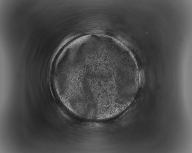 X0000083570195200703021756