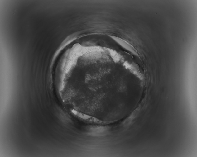 X0000083570198200703021756