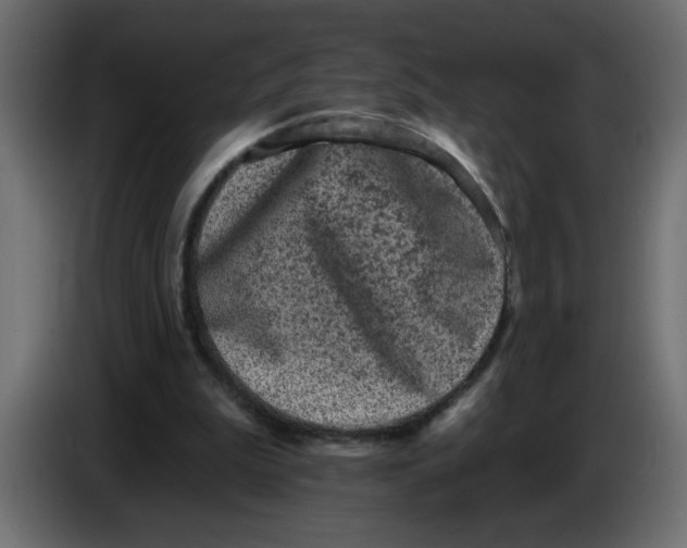 X0000083570199200703021756