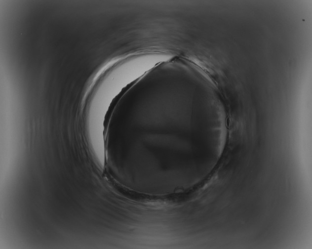X0000083570200200703021756