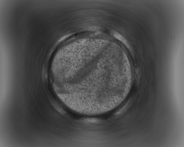 X0000083570203200703021756