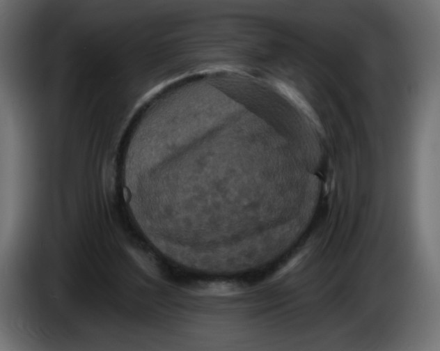 X0000083570204200703021756