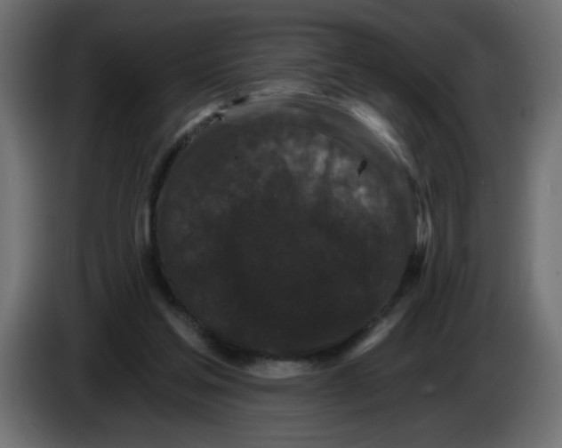 X0000083570205200703021756