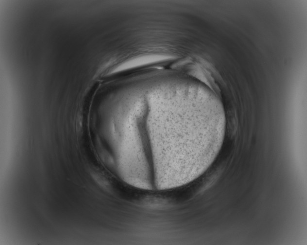 X0000083570207200703021756