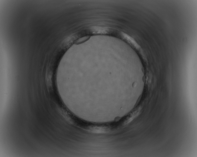 X0000083570209200703021756