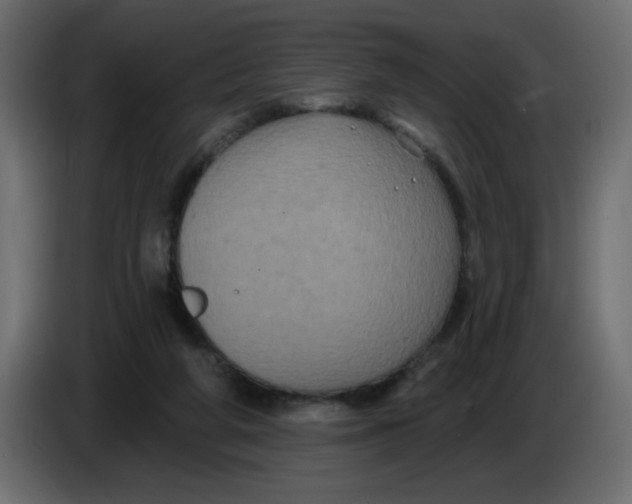 X0000083570210200703021756