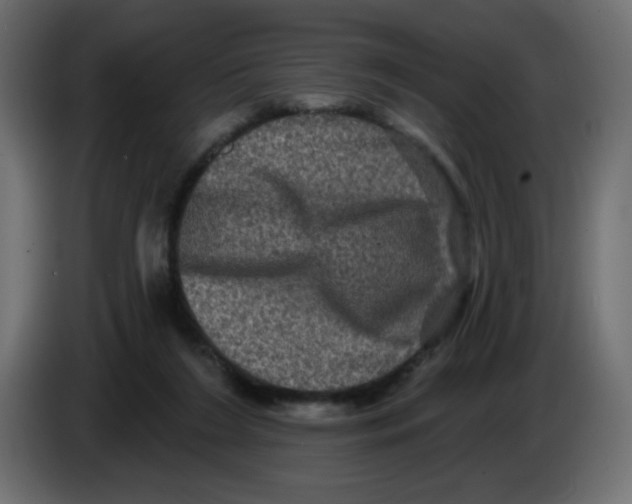 X0000083570212200703021756