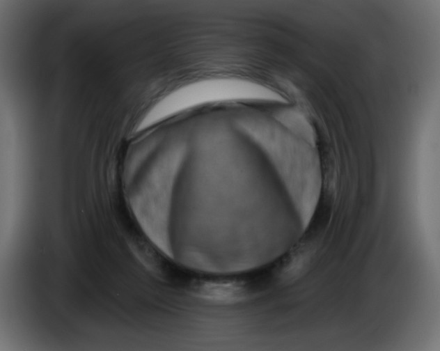X0000083570213200703021756