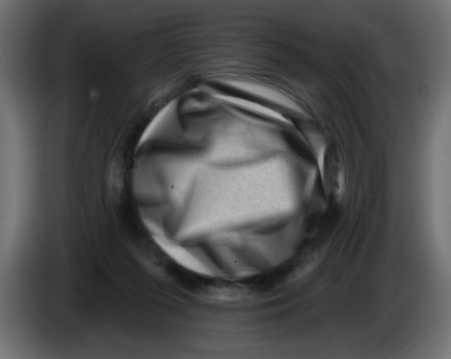 X0000083570215200703021756