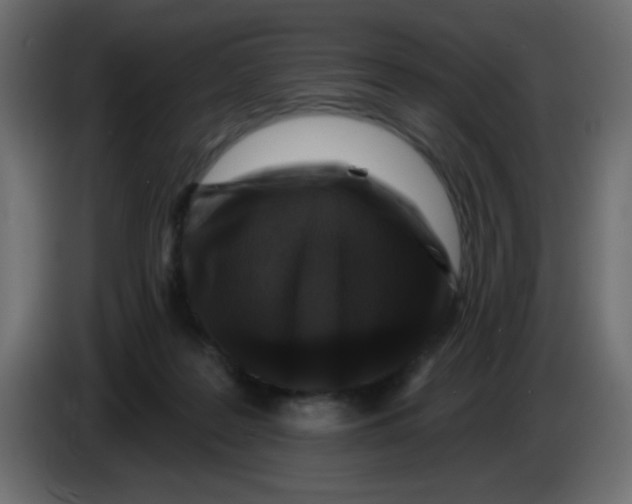 X0000083570219200703021756