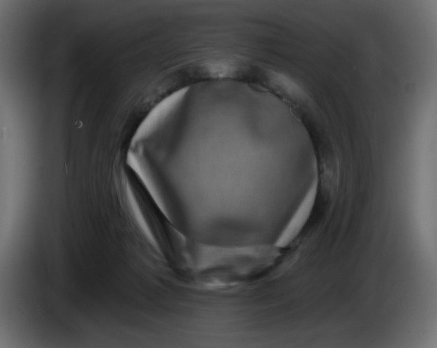 X0000083570221200703021755