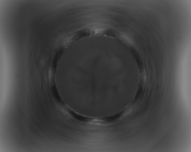 X0000083570222200703021755