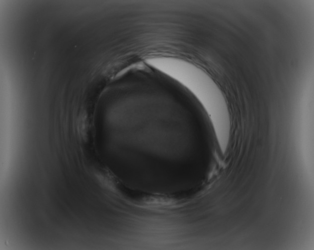 X0000083570223200703021755