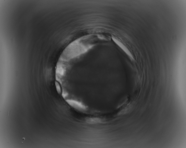 X0000083570224200703021755