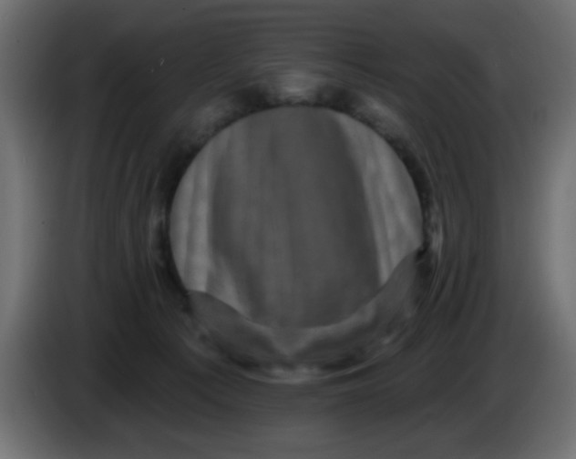 X0000083570225200703021755