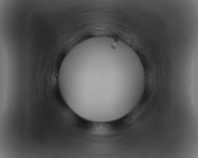 X0000083570226200703021755