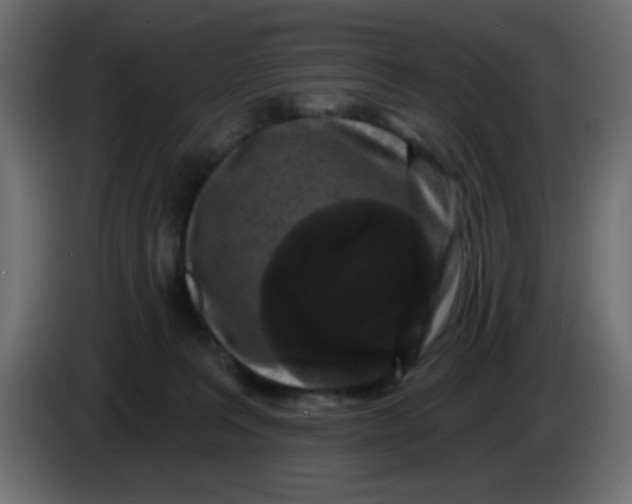 X0000083570227200703021755