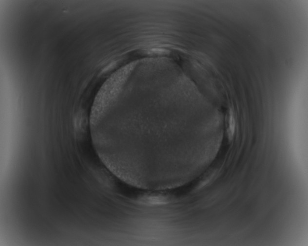 X0000083570228200703021755