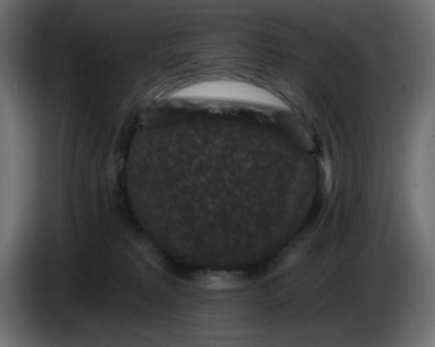 X0000083570229200703021755