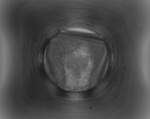 X0000083570230200703021755