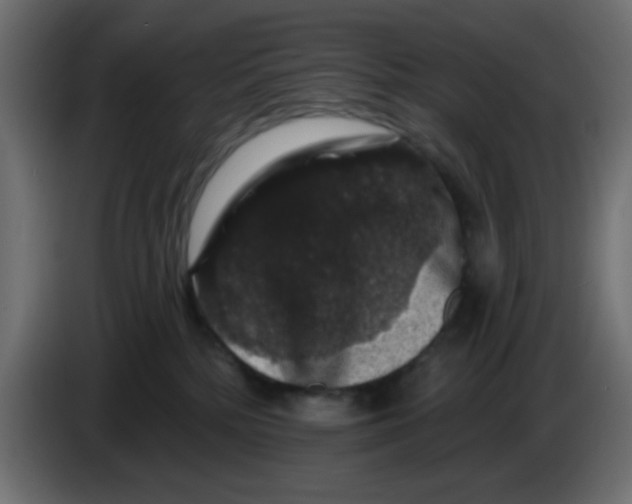 X0000083570232200703021755
