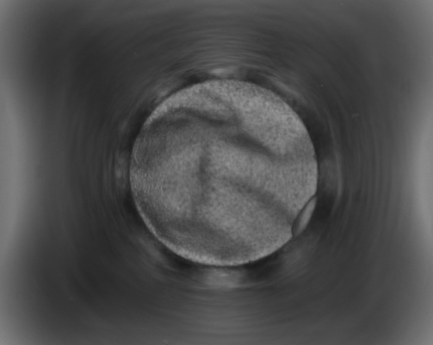 X0000083570234200703021755