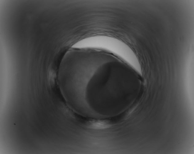 X0000083570235200703021755