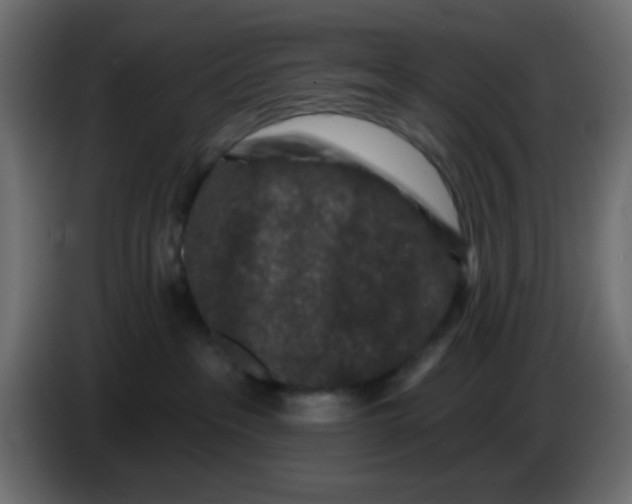 X0000083570237200703021755