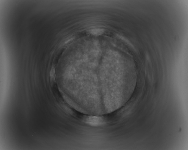 X0000083570240200703021755