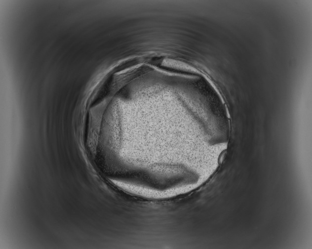 X0000083570241200703021754