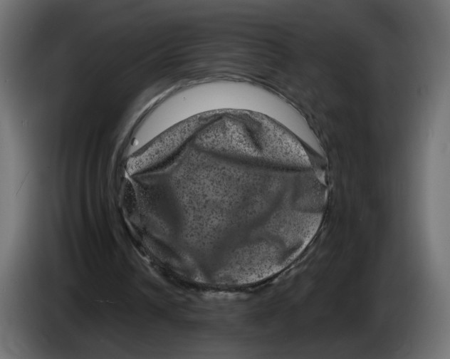 X0000083570242200703021754