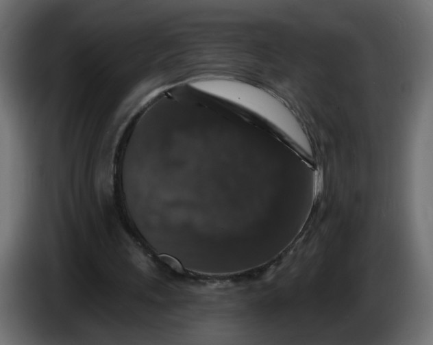 X0000083570243200703021754