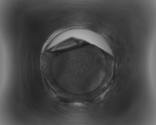 X0000083570244200703021754