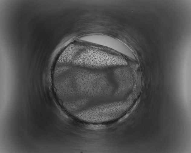 X0000083570245200703021754