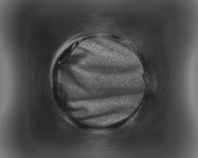 X0000083570246200703021754