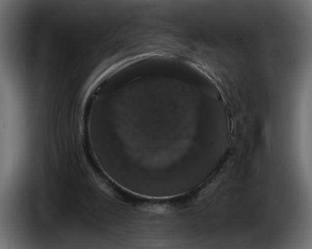 X0000083570247200703021754