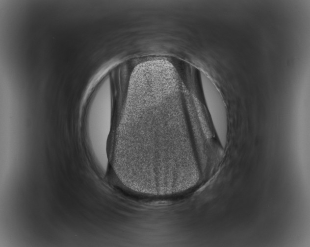 X0000083570248200703021754