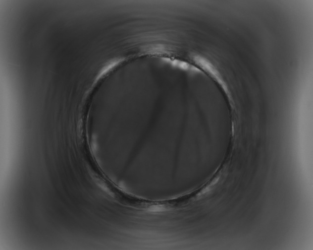 X0000083570249200703021754