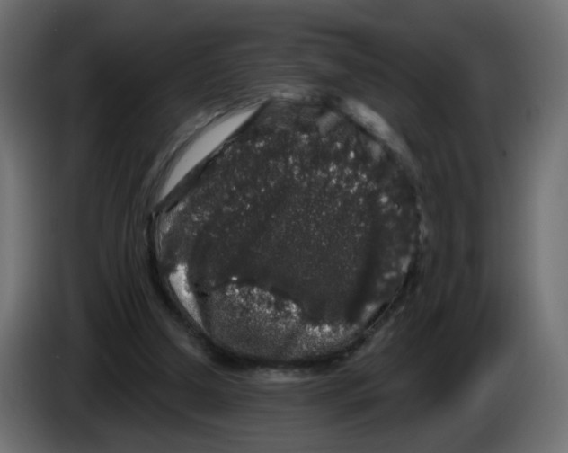 X0000083570250200703021754